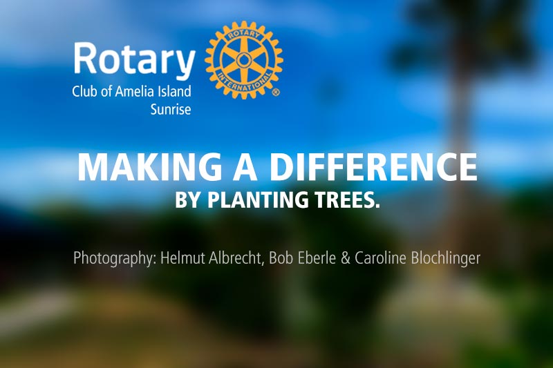 Making a Difference by Planting Trees
